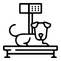 icone_prev_cirurg