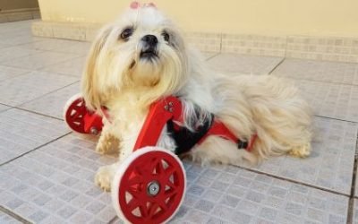 Luly