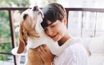 Como cuidar de pets especiais – veja as dicas!