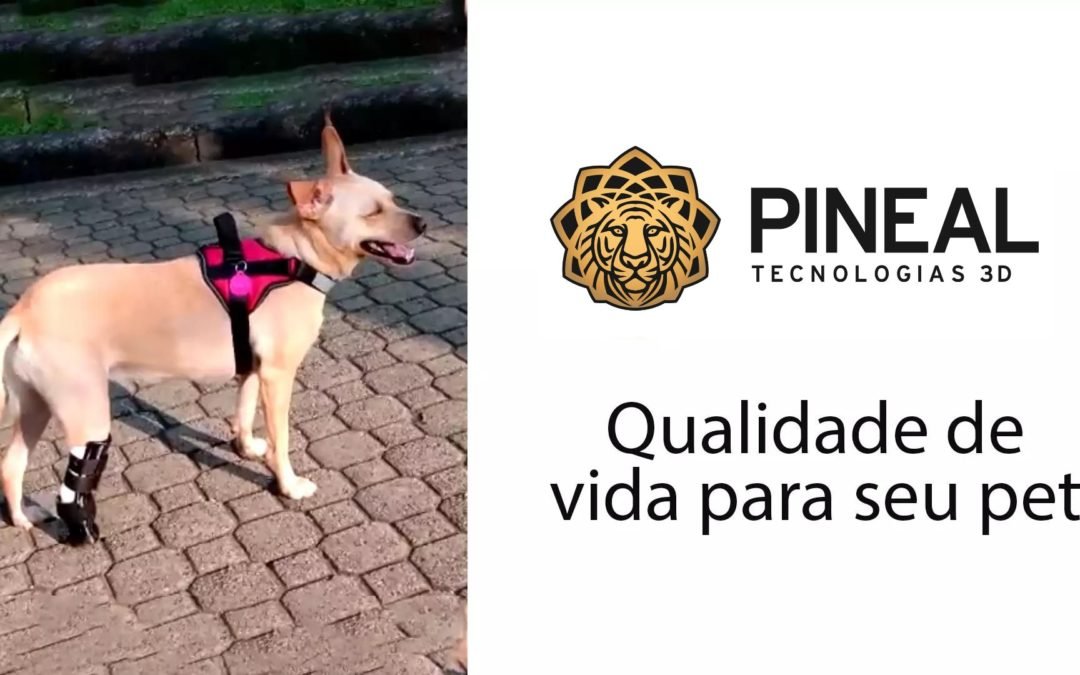 SRD Nala com Prótese no Membro Posterior