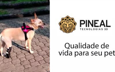SRD Nala com Prótese no Membro Posterior