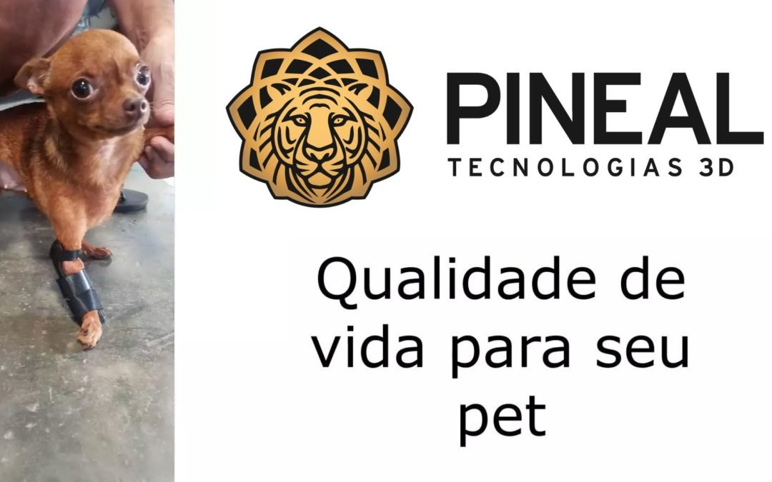 Pinscher Cacau com Órtese 3D