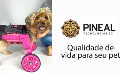 Cadeira de Rodas Torácica 3D