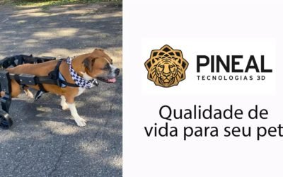 Boxer Potter com Cadeira de Rodas Custom