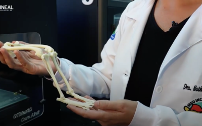 Como solicitar biomodelos na Pineal Tecnologias 3D